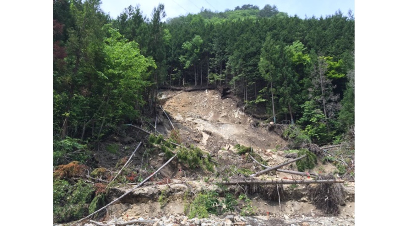 【H28.6.7撮影】約50メートルの林道法面の崩れに伴う造林木の崩落