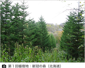 第1回植樹地:新冠の森(北海道)