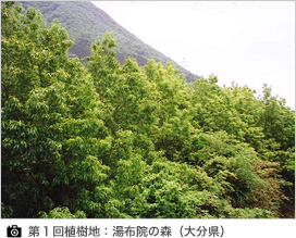 第1回植樹地:湯布院の森(大分)