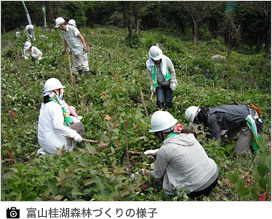 富山桂湖森林づくりの様子