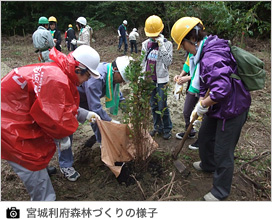 宮城利府森林づくりの様子