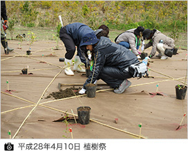 平成28年4月10日 植樹際