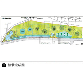植栽完成図