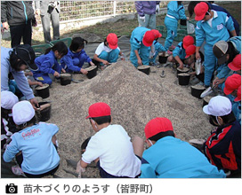 苗木づくりのようす(皆野町)