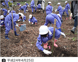 平成24年4月25日