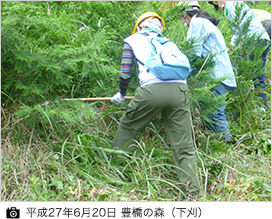 ニッセイ熊本の森 ツル切