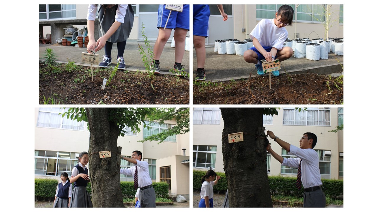 5月17日(木)東京都 八王子市立中山中学校にて、樹木名プレートの設置作業を行っていただきました｜公益財団法人 ニッセイ緑の財団