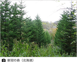 新冠の森（北海道）
